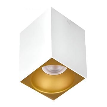 MOLLED MOL361-2 10x10x14 cm Beyaz-Gold Sıva Üst Spot Kasası (Metal - GU10 Duylu)