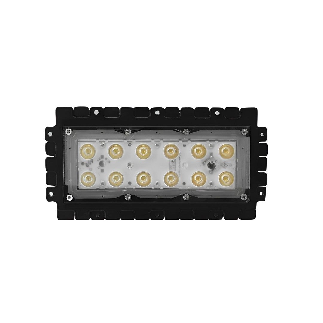CL-1050 50 Watt Modül LED Projektör