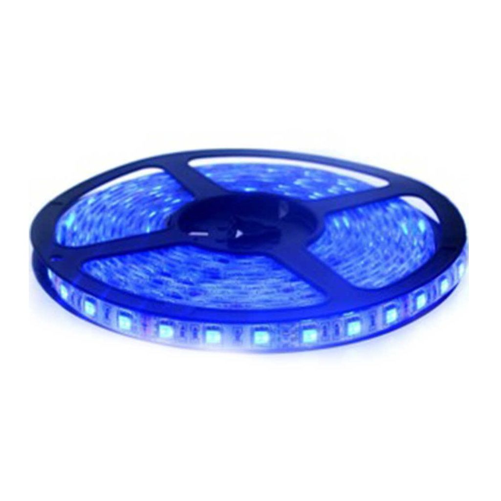 K2 GLOBAL KCL002 12 Volt Mavi Dış Mekan Şerit Led - 4.8 Watt/Metre [5 Metre]