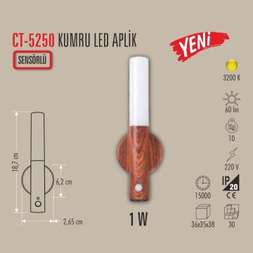 CATA CT-5250 1 Watt Sensörlü ve Şarjlı LED Aplik - Gün Işığı (3200K)