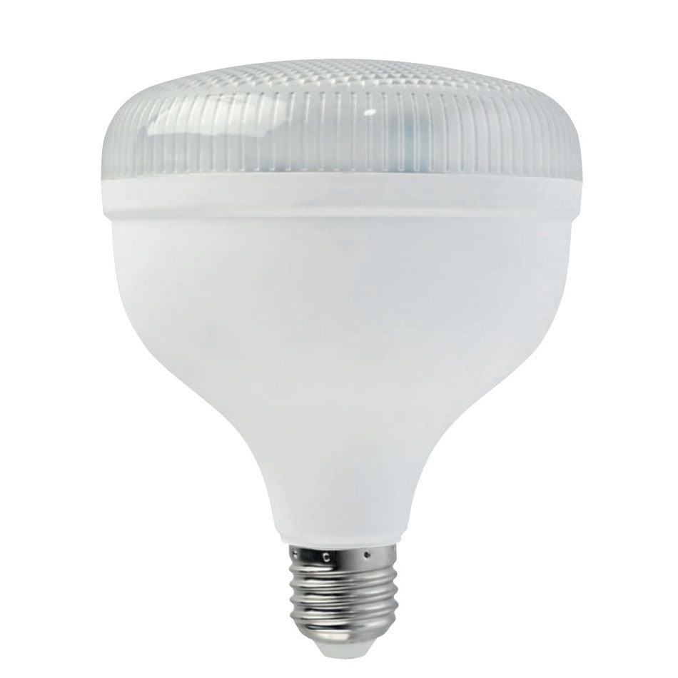 HOROZ 001-016-1050 CRYSTAL 50 Watt Torch LED Ampul