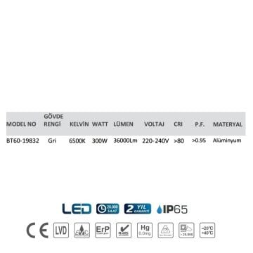 Braytron BT60-19832 250 Watt LED Projektör - Beyaz Işık (6500K)