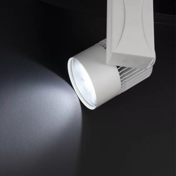 NOAS YL29-4101-T COLMAR Beyaz Kasa 40 Watt LED Ray Spot