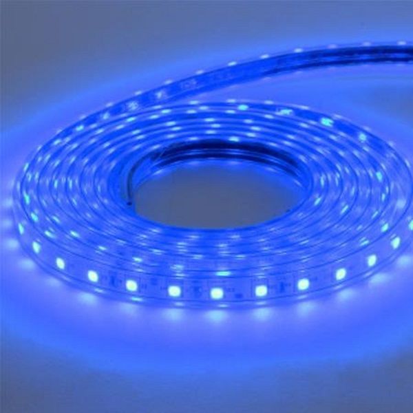 HOROZ 081-004-0001 VOLGA 220 Volt Mavi Dış Mekan Şerit Led - 3.5 Watt/Metre [50 Metre]