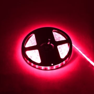 HOROZ 081-005-0001 AMAZON 12 Volt 3 Çipli Kırmızı Şerit Led - 14.4 Watt/Metre [5 Metre]