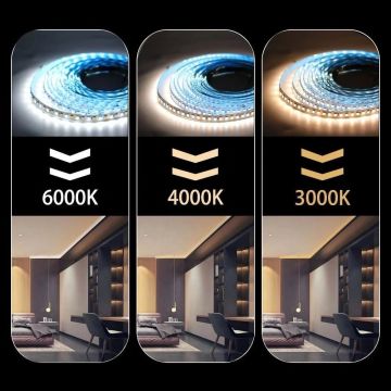 MOLLED MOL2511 5 Metre 10 Watt 60 Ledli Beyaz (6500K) Şerit Led