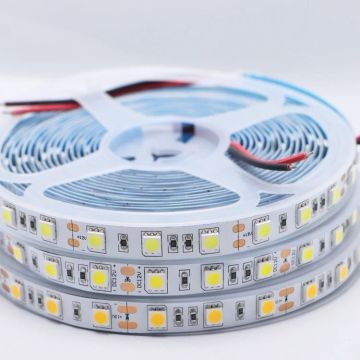 MOLLED MOL2511 5 Metre 10 Watt 60 Ledli Beyaz (6500K) Şerit Led