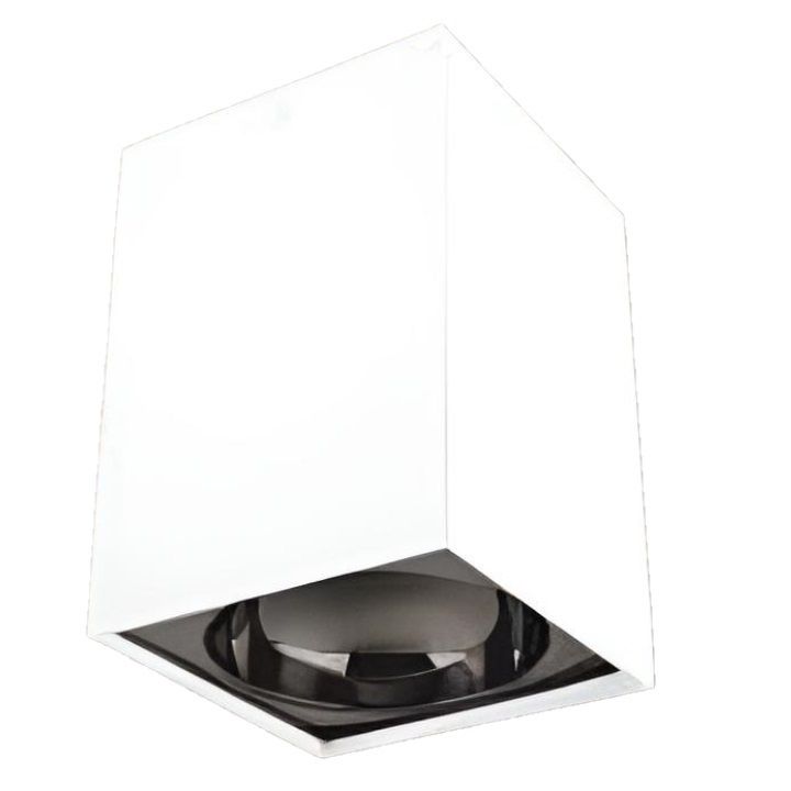 CATA CT-5420 BP Bergama 10x10x14 cm Beyaz-Platin Sıva Üstü Spot Kasası