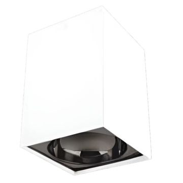 CATA CT-5420 BP Bergama 10x10x14 cm Beyaz-Platin Sıva Üstü Spot Kasası