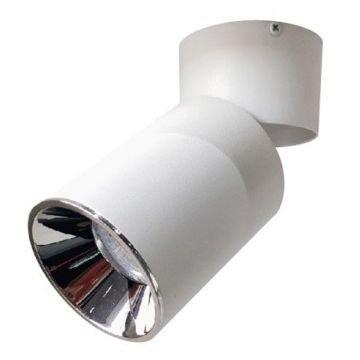 CATA CT-5335 B Datça Beyaz-Platin Sıva Üstü Hareketli Spot Kasası