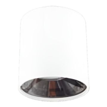 CATA CT-5421 BP Foça 10x10 cm Beyaz-Platin Sıva Üstü Silindir Spot Kasası