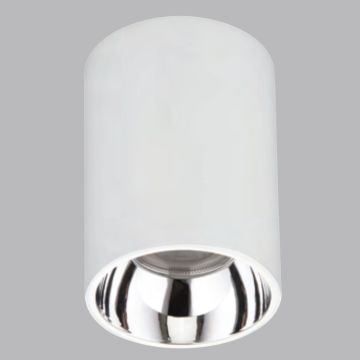 K2 GLOBAL KDA4307 7.5x10.5 cm Manas Beyaz-Gold Sıva Üstü Silindir Spot Kasası (Plastik)