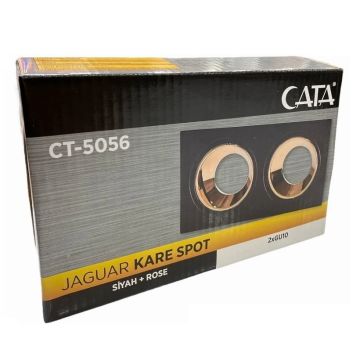 CATA CT-5056 Sıva Altı Siyah-Gold İkili Spot Kasası
