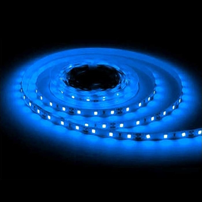 ACK AS01-02506 5 Metre 12 Volt 120 Ledli Mavi Şerit Led - 10 Watt/Metre