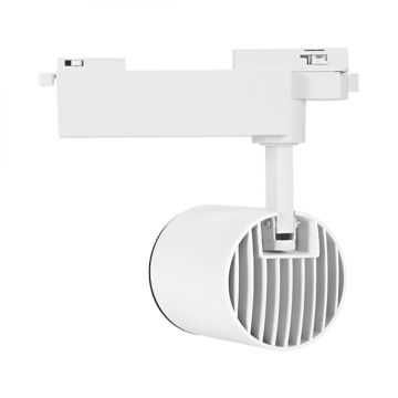 Braytron BD30-01330 Beyaz Kasa 30 Watt PHILIPS LED Ray Spot - Beyaz Işık (6500K)