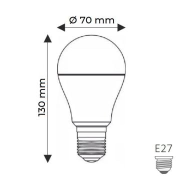 HELIOS HS 2023 15 Watt LED Ampul