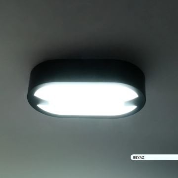 ACK AT11-21531 15 Watt Siyah Dış Mekan Elips LED Aplik - Beyaz Işık (6500K) - IP54