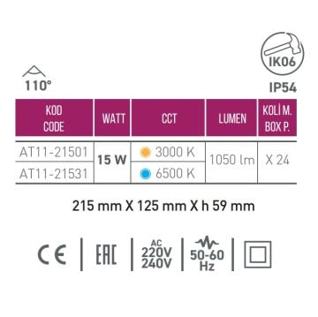 ACK AT11-21531 15 Watt Siyah Dış Mekan Elips LED Aplik - Beyaz Işık (6500K) - IP54