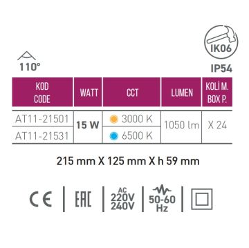 ACK AT11-21501 15 Watt Siyah Dış Mekan Elips LED Aplik - Gün Işığı (3000K) - IP54