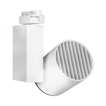 Braytron BD30-00200 Beyaz Kasa 30 Watt PHILIPS LED Ray Spot - Gün Işığı (3000K)