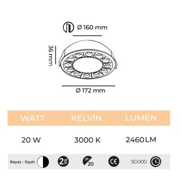 MOLLED MOL6215 20 Watt Beyaz-Siyah Sıva Altı LED Spot - Gün Işığı (3000K)