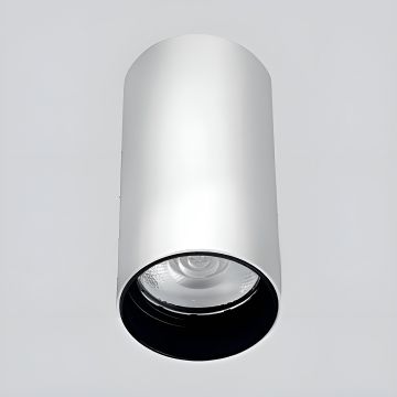 Braytron SBH04-00500 6x11 cm Beyaz Sıva Üstü Silindir Spot Kasası