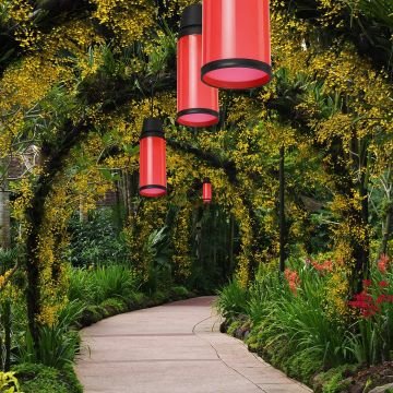 ZİTA 236F-Kirmizi Kırmızı Kule Ağaç Feneri