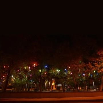 ZİTA 236F-Mavi Mavi Kule Ağaç Feneri