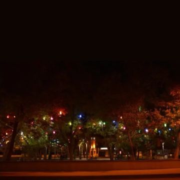 ZİTA 236F-Sari Sarı Kule Ağaç Feneri