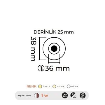 MOLLED MOL7006 3 Watt Beyaz-Rose Mini LED Spot