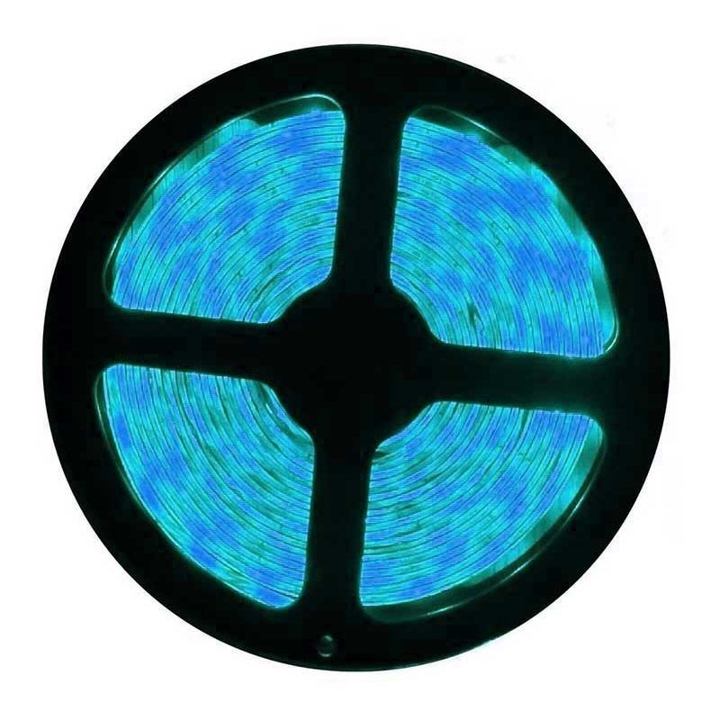 CATA CT-4484 12 Volt 10 Çipli Mavi Şerit Led - 10 Watt/Metre [5 Metre]