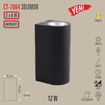 Antrasit Çift Yönlü Dış Mekan LED Aplik - PC Gövde - Gün Işığı (3200K)