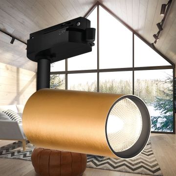 Braytron BH04-10606 Mat Gold Ray Spot Kasası (GU10 Duylu)