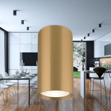 Braytron BH04-00506 5.5x10 cm Mat Gold Sıva Üstü Silindir Spot Kasası (GU10 Duylu)