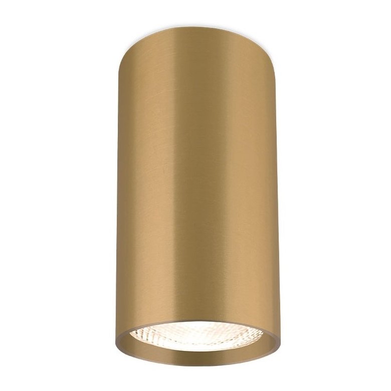 Braytron BH04-00506 5.5x10 cm Mat Gold Sıva Üstü Silindir Spot Kasası (GU10 Duylu)