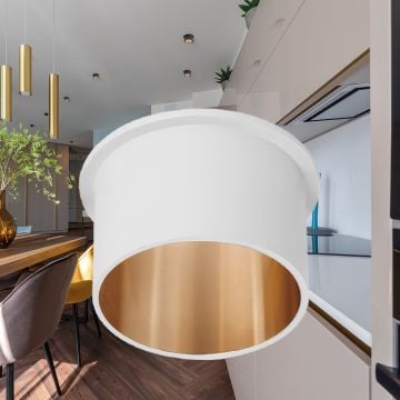 Braytron BH03-06020 Beyaz-Gold Sıva Altı Yuvarlak Spot Kasası