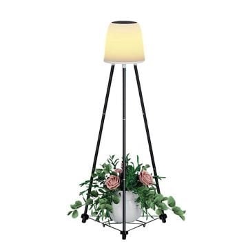 ACK AG60-06851 2 Watt 3 Modlü Solar Bahçe Armatürü