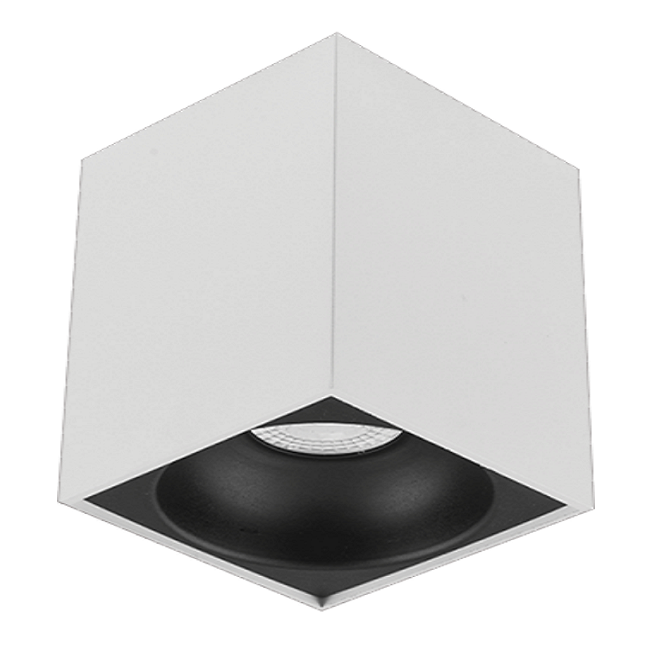 10x10x10 cm Beyaz-Siyah Sıva Üstü Spot