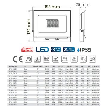Braytron BT60-03092 30 Watt RGB LED Projektör