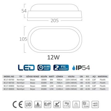 Braytron BC17-00800 12 Watt Beyaz Kasa Elips Dış Mekan LED Aplik - Gün Işığı (3000K)