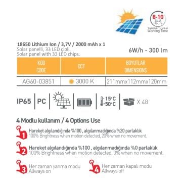 ACK AG60-03851 6 Watt Solar Aplik - Gün Işığı (3000K)