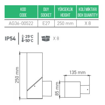 ACK AG36-00522 Camlı Dış Mekan Aplik - Metal - E27 Duylu