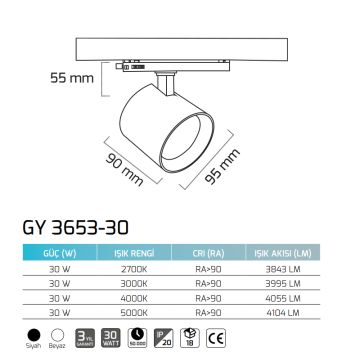 GOYA GY 3653-30 Siyah/Beyaz Kasa 30 Watt LED Ray Spot
