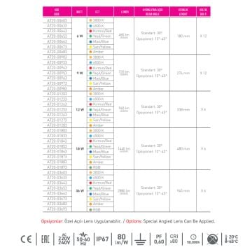 ACK AT20-01263 12 Watt 34 cm Mavi LED Wallwasher - IP67